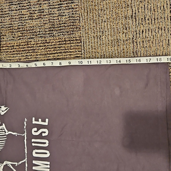 Modest Mouse Band T-Shirt - Dark Grey. Size Medium - Picture 3 of 3